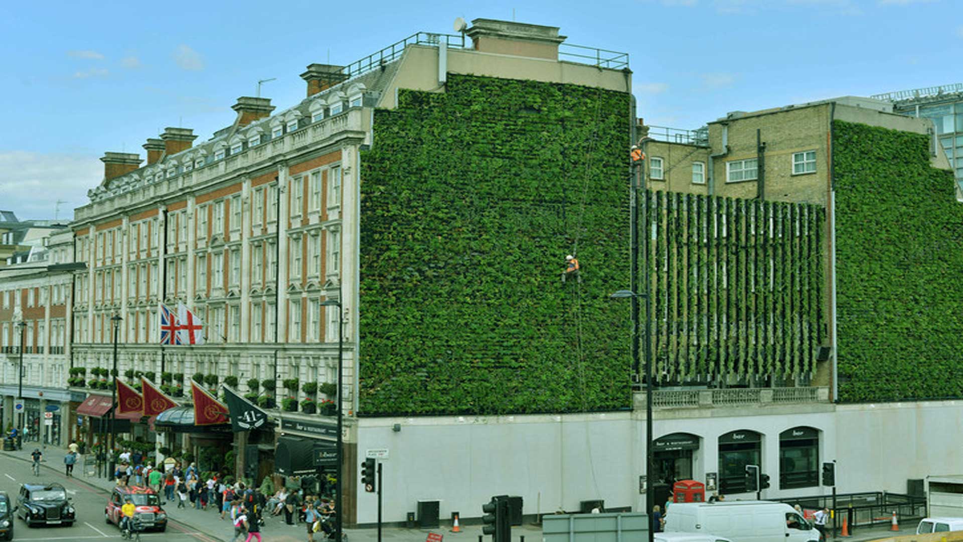 اجرای دیوار سبز