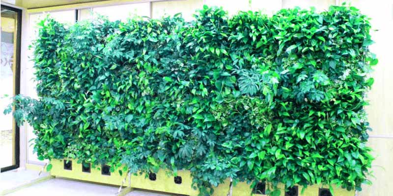 مزایای دیوار سبز مصنوعی