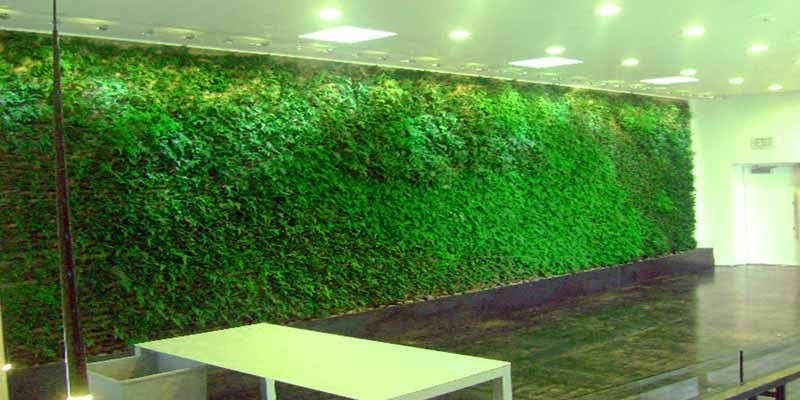قیمت دیوار سبز مصنوعی