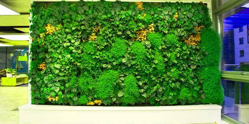 دیوار سبز طبیعی چیست؟